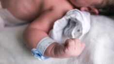 Allocations familiales élargies : les députés accordent son versement dès le premier enfant