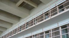 Interdiction des activités ludiques en prison : le Conseil d’État désavoue Gérald Darmanin