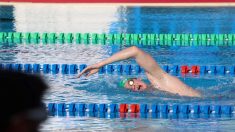 Natation : « C’est tout nouveau », Léon Marchand au défi du crawl