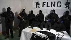 Destructions en Corse revendiquées par le FLNC : sept personnes mises en examen à Paris