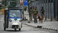 L’Inde et le Pakistan adhèrent à un cessez-le-feu fragile alors que Donald Trump propose d’aider les deux parties