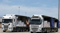 Israël autorise l’entrée à Gaza d’« environ 100″ camions d’aide sous la pression internationale