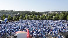 « On a schtroumpfé le record ! » : Landerneau bat le record du monde avec plus de 3000 Schtroumpfs