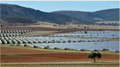 La dépendance aux énergies renouvelables augmente le risque d’une panne d’électricité généralisée