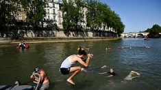 Baignade dans la Seine à Paris : un test requis pour tous les baigneurs cet été