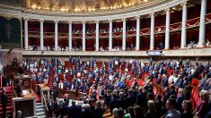 Quand la loi de simplification accouche de la fin de l’écologie punitive