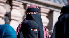 « Contrôle social musulman » : le Danemark veut interdire le niqab et les salles de prières dans les écoles et universités