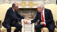 Le chancelier allemand Friedrich Merz exhorte Donald Trump à accroître la pression sur la Russie lors de sa réunion à la Maison-Blanche