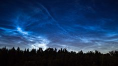 Des nuages bleus et brillants, appelés nuages noctulescents, illuminent le ciel nocturne